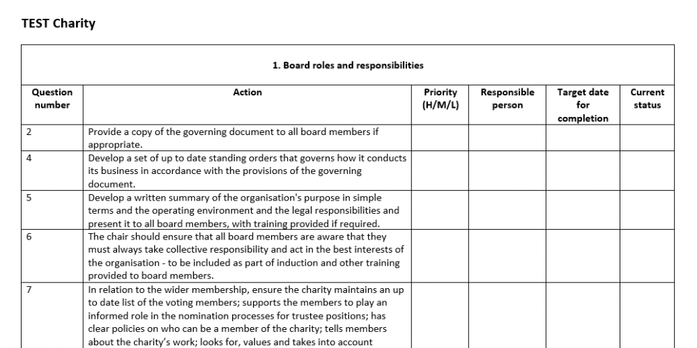 Governance SMART Action Plan